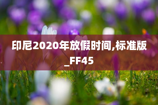 印尼2020年放假时间,标准版_FF45