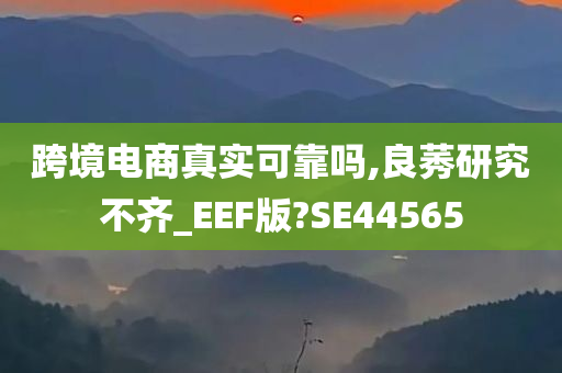 跨境电商真实可靠吗,良莠研究不齐_EEF版?SE44565