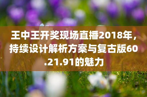 王中王开奖现场直播2018年，持续设计解析方案与复古版60.21.91的魅力