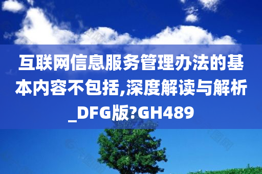 互联网信息服务管理办法的基本内容不包括,深度解读与解析_DFG版?GH489