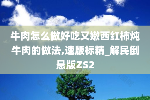 牛肉怎么做好吃又嫩西红柿炖牛肉的做法,速版标精_解民倒悬版ZS2