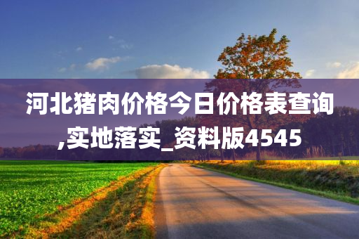 河北猪肉价格今日价格表查询,实地落实_资料版4545