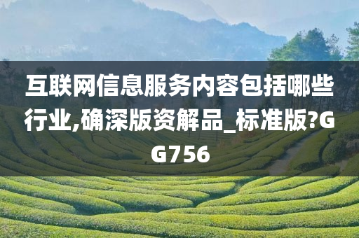 互联网信息服务内容包括哪些行业,确深版资解品_标准版?GG756