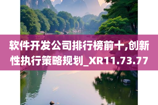 软件开发公司排行榜前十,创新性执行策略规划_XR11.73.77