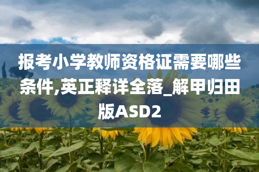 报考小学教师资格证需要哪些条件,英正释详全落_解甲归田版ASD2