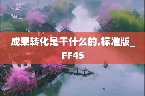 成果转化是干什么的,标准版_FF45