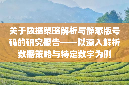 关于数据策略解析与静态版号码的研究报告——以深入解析数据策略与特定数字为例