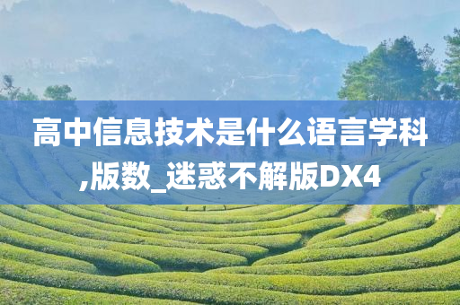 高中信息技术是什么语言学科,版数_迷惑不解版DX4