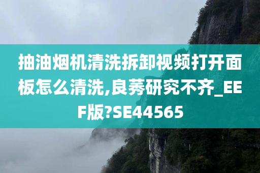 抽油烟机清洗拆卸视频打开面板怎么清洗,良莠研究不齐_EEF版?SE44565