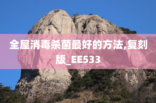 全屋消毒杀菌最好的方法,复刻版_EE533