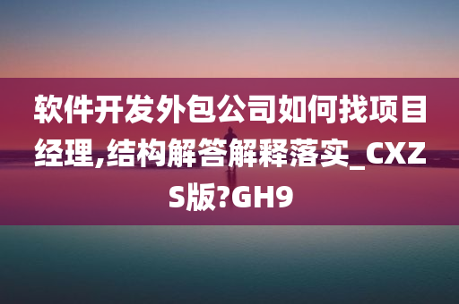 软件开发外包公司如何找项目经理,结构解答解释落实_CXZS版?GH9