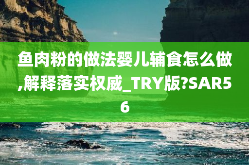 鱼肉粉的做法婴儿辅食怎么做,解释落实权威_TRY版?SAR56