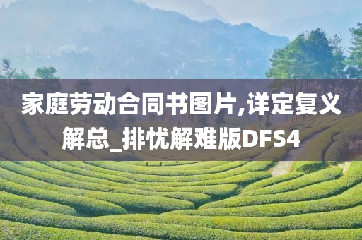 家庭劳动合同书图片,详定复义解总_排忧解难版DFS4