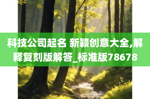 科技公司起名 新颖创意大全,解释复刻版解答_标准版78678