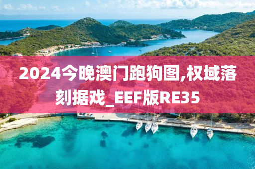 2024今晚澳门跑狗图,权域落刻据戏_EEF版RE35