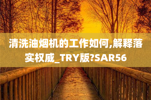 清洗油烟机的工作如何,解释落实权威_TRY版?SAR56