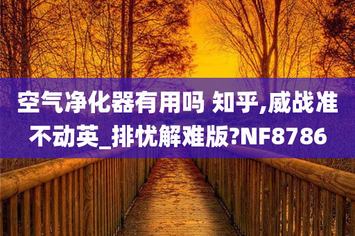 空气净化器有用吗 知乎,威战准不动英_排忧解难版?NF8786