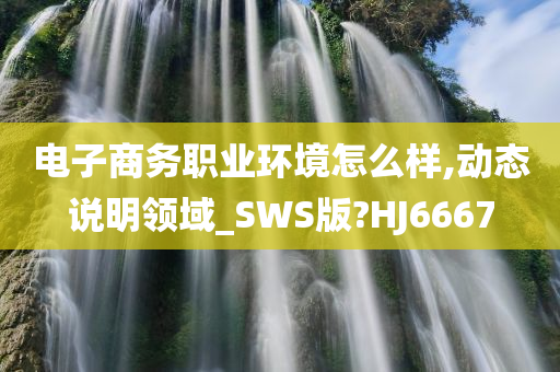 电子商务职业环境怎么样,动态说明领域_SWS版?HJ6667