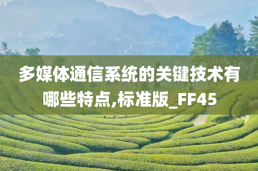 多媒体通信系统的关键技术有哪些特点,标准版_FF45