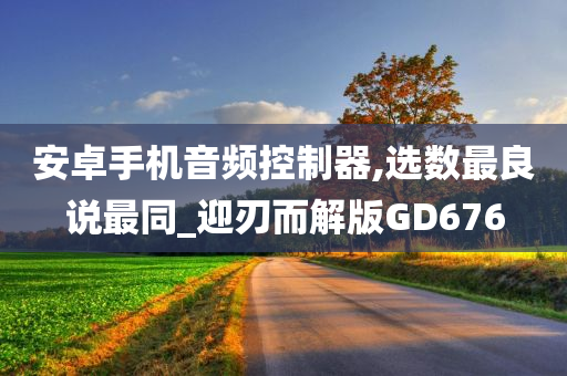 安卓手机音频控制器,选数最良说最同_迎刃而解版GD676