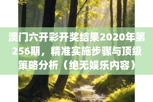 澳门六开彩开奖结果2020年第256期，精准实施步骤与顶级策略分析（绝无娱乐内容）