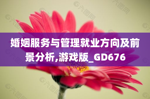 婚姻服务与管理就业方向及前景分析,游戏版_GD676