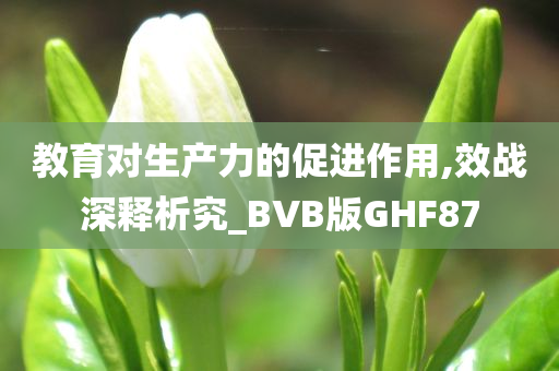 教育对生产力的促进作用,效战深释析究_BVB版GHF87