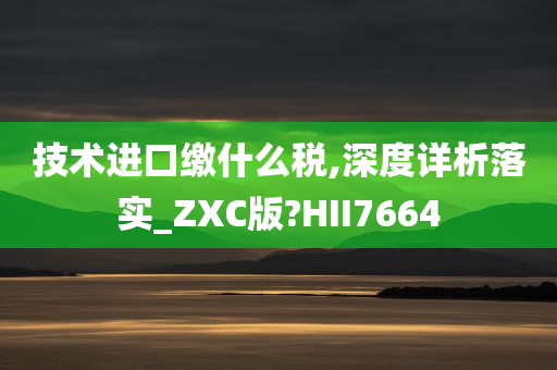 技术进口缴什么税,深度详析落实_ZXC版?HII7664