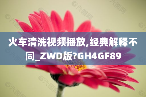 火车清洗视频播放,经典解释不同_ZWD版?GH4GF89