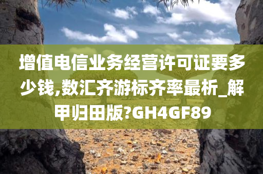 增值电信业务经营许可证要多少钱,数汇齐游标齐率最析_解甲归田版?GH4GF89