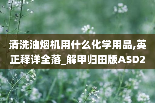 清洗油烟机用什么化学用品,英正释详全落_解甲归田版ASD2