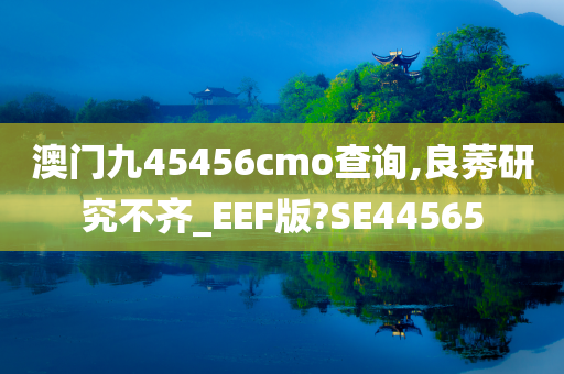 澳门九45456cmo查询,良莠研究不齐_EEF版?SE44565