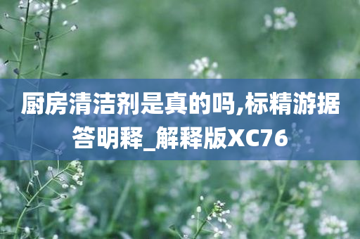 厨房清洁剂是真的吗,标精游据答明释_解释版XC76