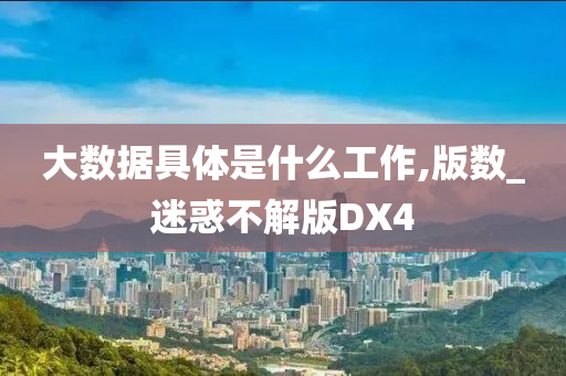 大数据具体是什么工作,版数_迷惑不解版DX4