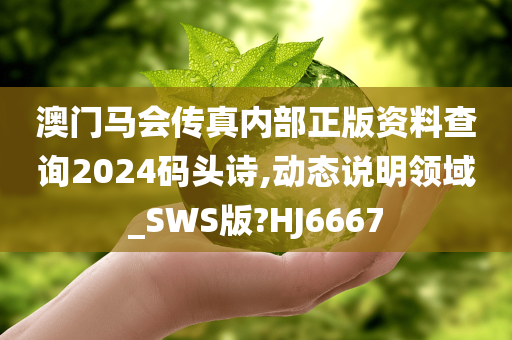 澳门马会传真内部正版资料查询2024码头诗,动态说明领域_SWS版?HJ6667