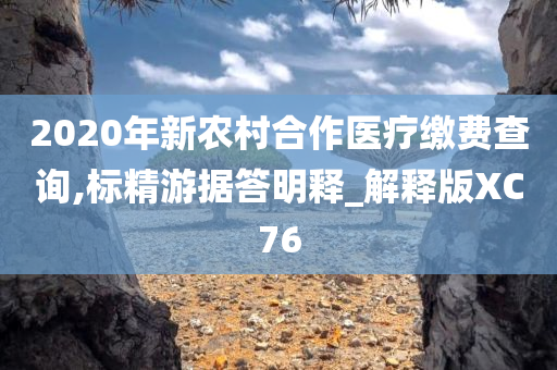 2020年新农村合作医疗缴费查询,标精游据答明释_解释版XC76