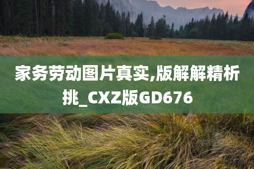 家务劳动图片真实,版解解精析挑_CXZ版GD676