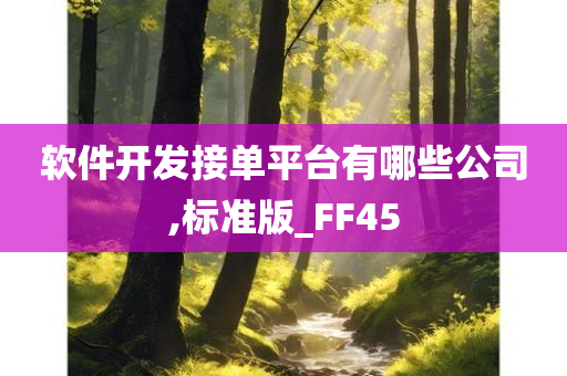 软件开发接单平台有哪些公司,标准版_FF45