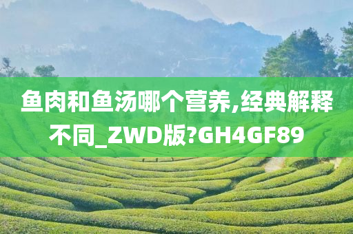 鱼肉和鱼汤哪个营养,经典解释不同_ZWD版?GH4GF89