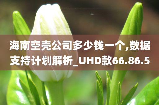 海南空壳公司多少钱一个,数据支持计划解析_UHD款66.86.50