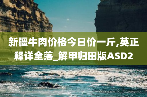 新疆牛肉价格今日价一斤,英正释详全落_解甲归田版ASD2