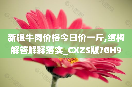 新疆牛肉价格今日价一斤,结构解答解释落实_CXZS版?GH9