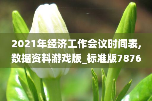 2021年经济工作会议时间表,数据资料游戏版_标准版7876