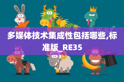 多媒体技术集成性包括哪些,标准版_RE35