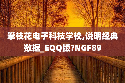 攀枝花电子科技学校,说明经典数据_EQQ版?NGF89