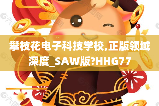 攀枝花电子科技学校,正版领域深度_SAW版?HHG77