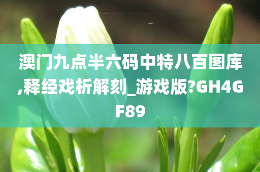 澳门九点半六码中特八百图库,释经戏析解刻_游戏版?GH4GF89