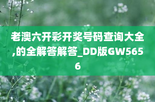 老澳六开彩开奖号码查询大全,的全解答解答_DD版GW5656