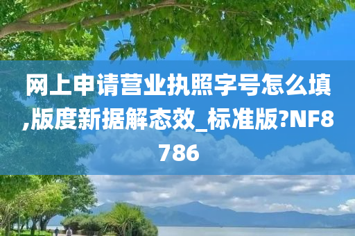 网上申请营业执照字号怎么填,版度新据解态效_标准版?NF8786