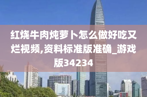 红烧牛肉炖萝卜怎么做好吃又烂视频,资料标准版准确_游戏版34234